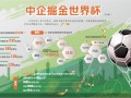 中国企业世界杯掘金记