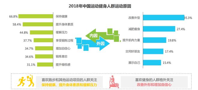 坚蛋运动产品分析报告